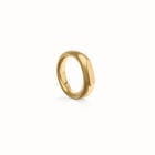 Geometric Ring